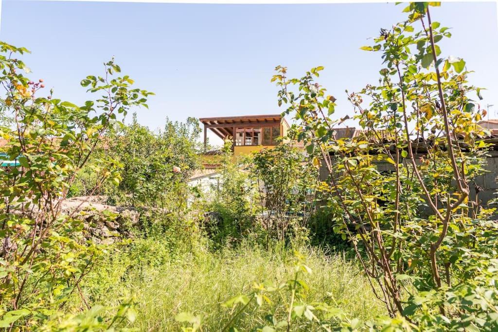 Casa La Vera Rural Talaveruela Luaran gambar
